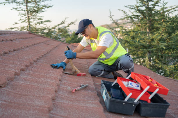 Best Commercial Roofing Services  in Waterloo, WI