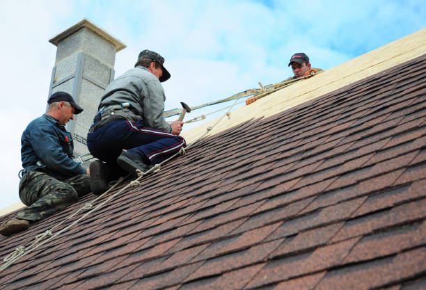 Best Residential Roofing Contractor  in Waterloo, WI